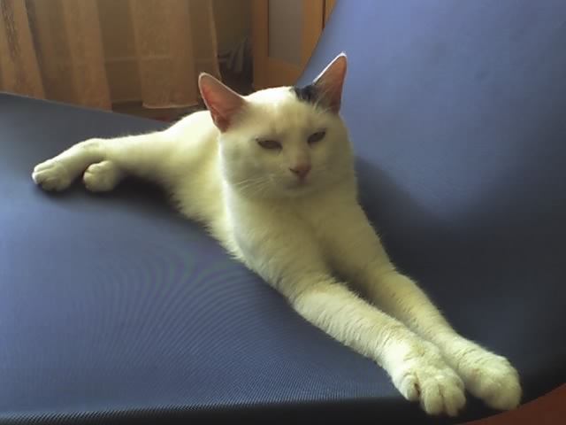 sfinga.jpg